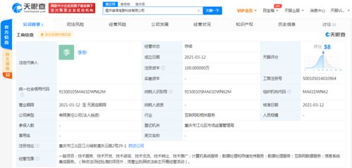 字節跳動關聯公司布局數據處理領域，投資成立新公司拓展數字化服務